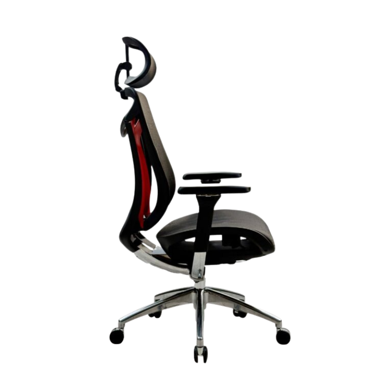 Aura Executive Office Chair with Adjustable Mesh Back